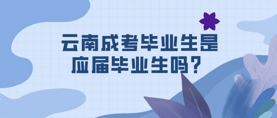 云南成考畢業(yè)生是應(yīng)屆畢業(yè)生嗎？
